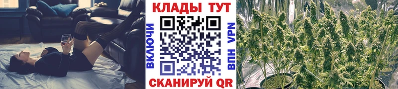 Купить наркотик Макаров Бошки Шишки  COCAIN  БУТИРАТ  МЕФ  Alpha-PVP 