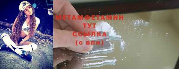 молекула духа Богданович