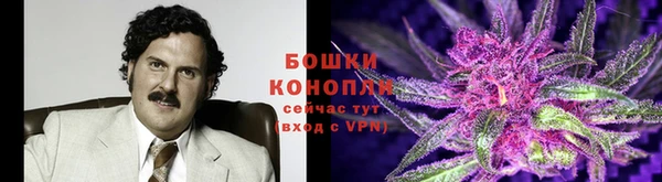 mdpv Богородицк