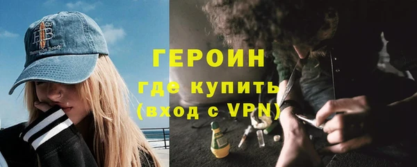 молекула духа Богданович