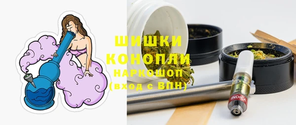 mdpv Богородицк