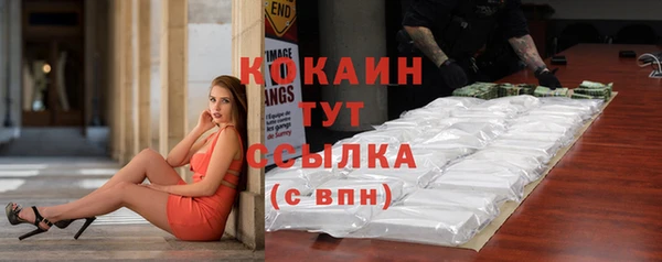 молекула духа Богданович