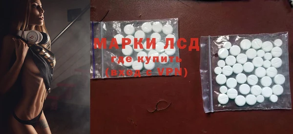 молекула духа Богданович