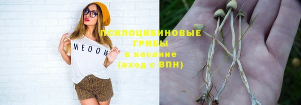 mdpv Богородицк