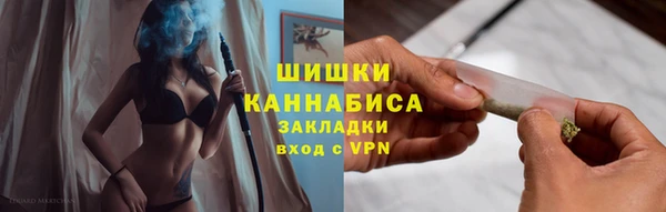 молекула духа Богданович