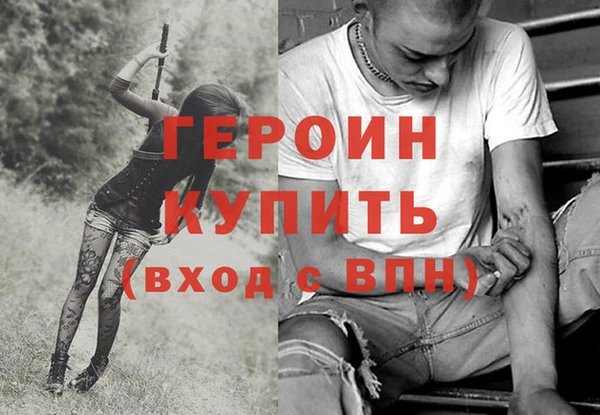 молекула духа Богданович