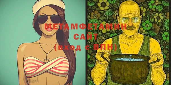 молекула духа Богданович