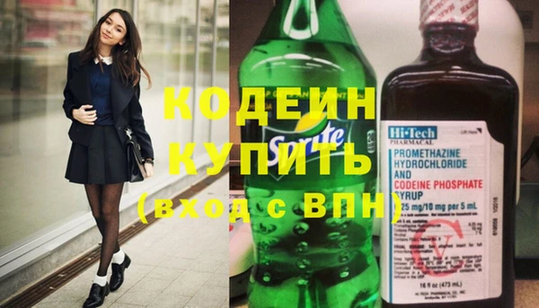 молекула духа Богданович