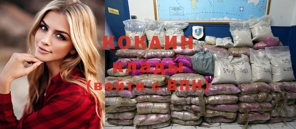 молекула духа Богданович