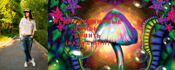 молекула духа Богданович