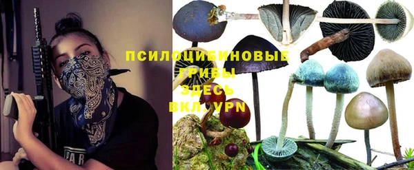 марки lsd Богородск
