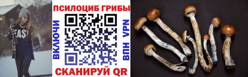 Псилоцибиновые грибы Magic Shrooms  Макаров 